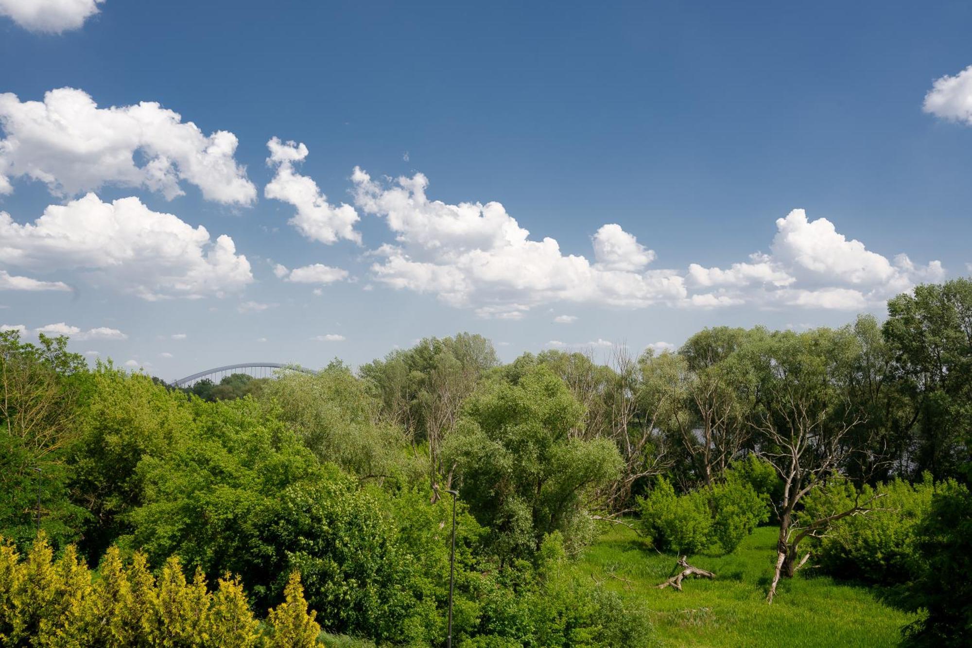 Winnica Widok Na Wisłę